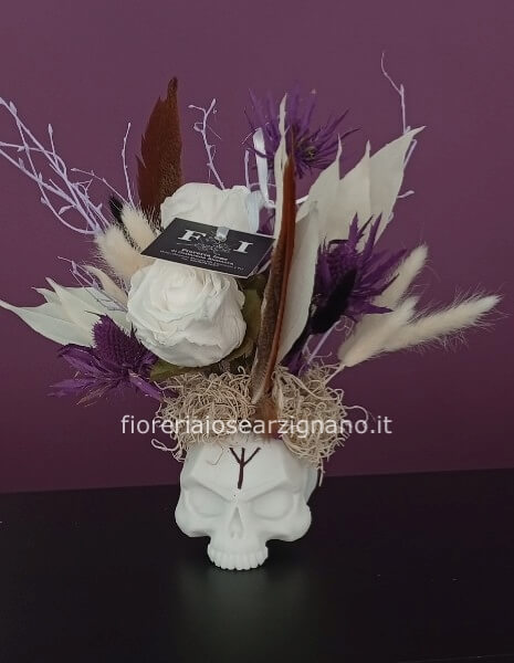 L´OCCHIO DEL GRIFONE - STABILIZZATO