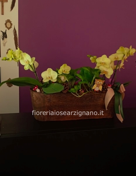 BOSCO INCANTATO