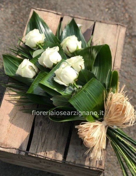 3 ROSE BIANCHE