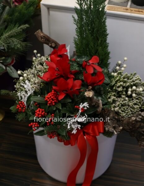 COMPOSIZIONE PIANTE DI STAGIONE