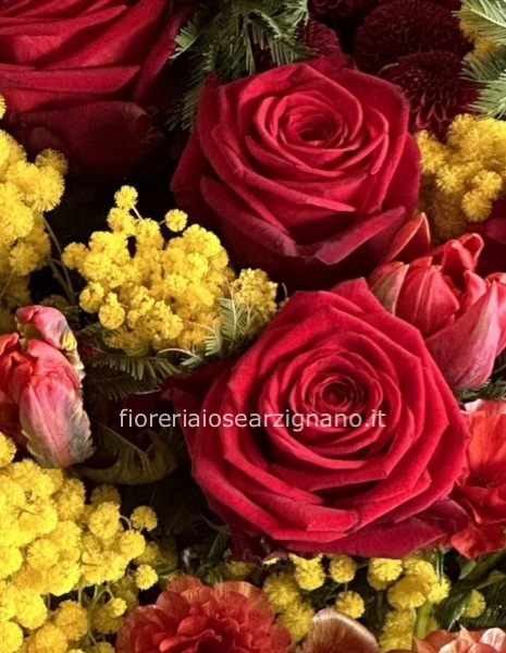 5 ROSE ROSSE E MIMOSA