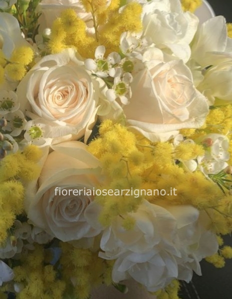 5 ROSE BIANCHE E MIMOSA